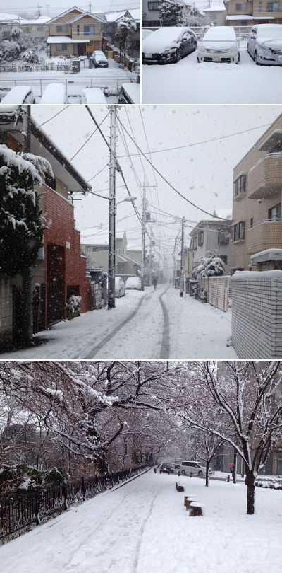 雪に覆われる東京